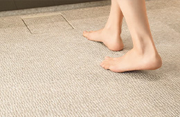 ■ お掃除ラクラクほっカラリ床