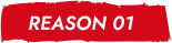 REASON01