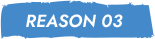 REASON03