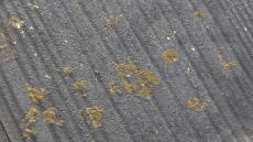 変換 ～ 施工前 (3).jpg