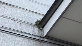 変換 ～ IMG_8133.MOV.jpg