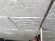 0804minari sekoutyuu 01.jpg