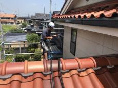 0804minari sekoutyuu 31.jpg