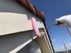 0804minari sekoutyuu 43.jpg