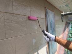 0804minari sekoutyuu 67.jpg