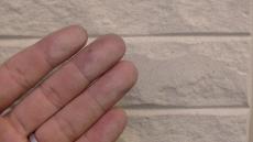 1129sasakgenntyou 007.jpg