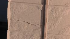 1129sasakgenntyou 009.jpg