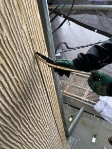 変換 ～ S__20963403.jpg