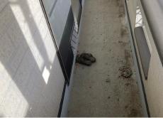 変換 ～ 山本様屋根外壁施工前002.jpg