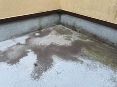 変換 ～ 2021_03_08_16_54_40_572_6.jpg