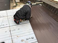 変換 ～ S__3735558.jpg