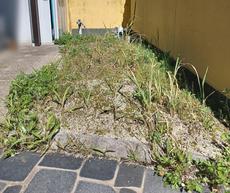 桐原様邸 外壁塗装 施工前2000015.jpg