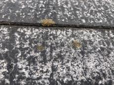 変換 ～ 施行前　20220128 i様邸屋根外液玄関　郷原加藤　施工事例000023.jpg