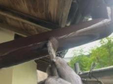 変換 ～ 20211203事例　外壁塗装　ｎ.y様4　毛利000227.jpg