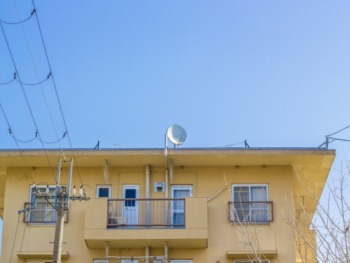 外壁　人気　カラー　ベイジュ