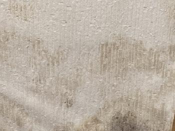 ウォークインクローゼット　カビ　原因　対策　方法