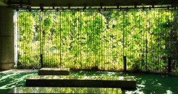 エアコン　効果的　日光　グリーンカーテン　サーキュレーター　カーテン　併用