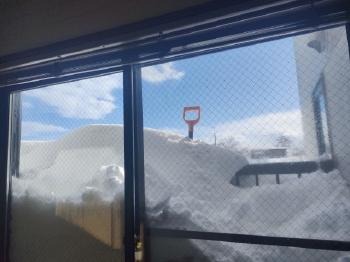 断熱窓 ガラス っリフォーム 冷暖房費 節約 結露 防止 カビ 助成金 補助金